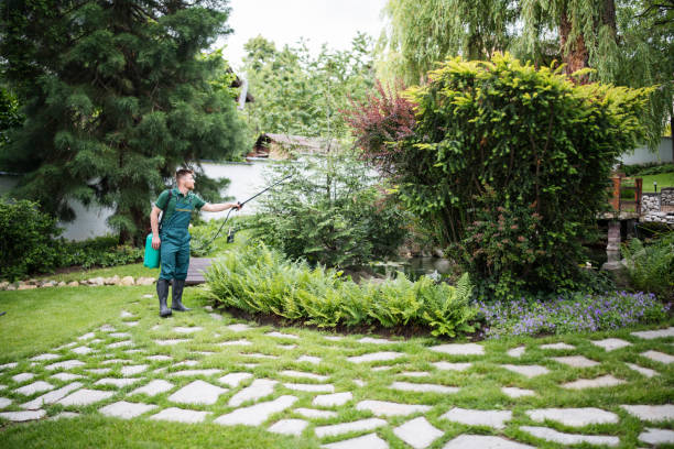 Best Pest Removal Services  in Mino, CA