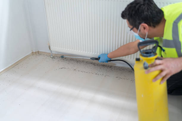 Best Pest Control Treatment  in Mino, CA